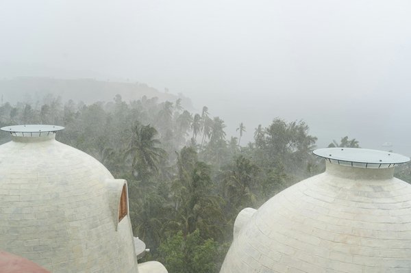 Comment reconnaître et traiter les symptômes de la gale chez les hérissons domestiques ?