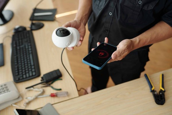 Quelles sont les meilleures techniques pour surveiller la santé d'un serpent des blés ?